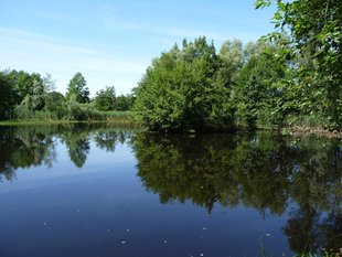 Mühlenteich im Klosterflecken Ebstorf © Anne-C. Gonda