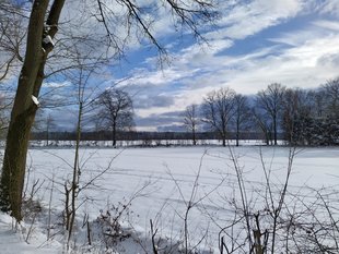 Winterlandschaft Landkreis Celle © LLV