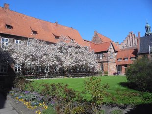 Rathausgarten Lüneburg © LLV