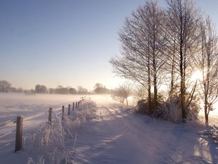 Winterberg bei Meinersen © Rüdiger Rodloff