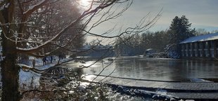 Ratsteich Uelzen © Gesine Hübner