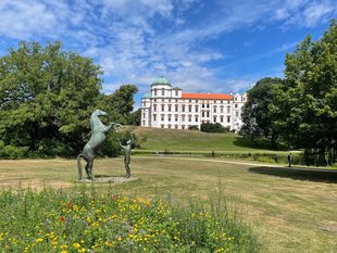 „Hengst Wohlklang in der Freiheitsdressur“, Ulrich Conrad, Schlossark Celle © LLV 