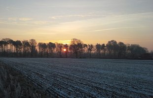 Morgensonne in Hermannsburg © Inga Seba-Eichert