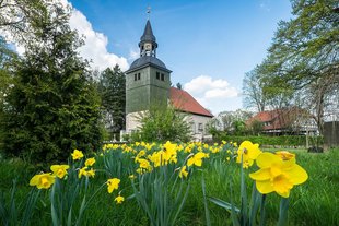 St.-Georg-Kirche Meinersen, Landkreis Gifhorn © Rüdiger Rodloff