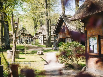 Blick in das Freilichtgelände des Heidemuseums Rischmannshof © Anna-Kristina Bauer 